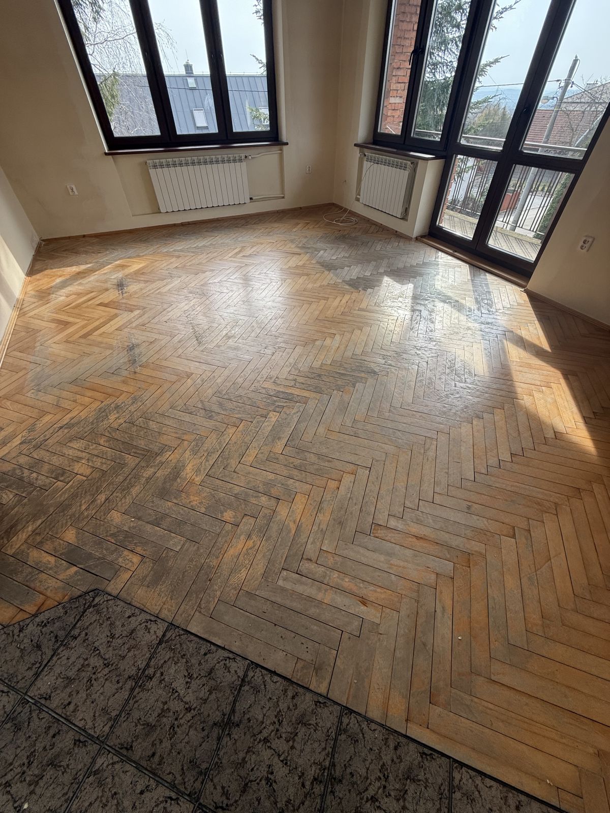 Ratunek Parkietu Bukowego 010