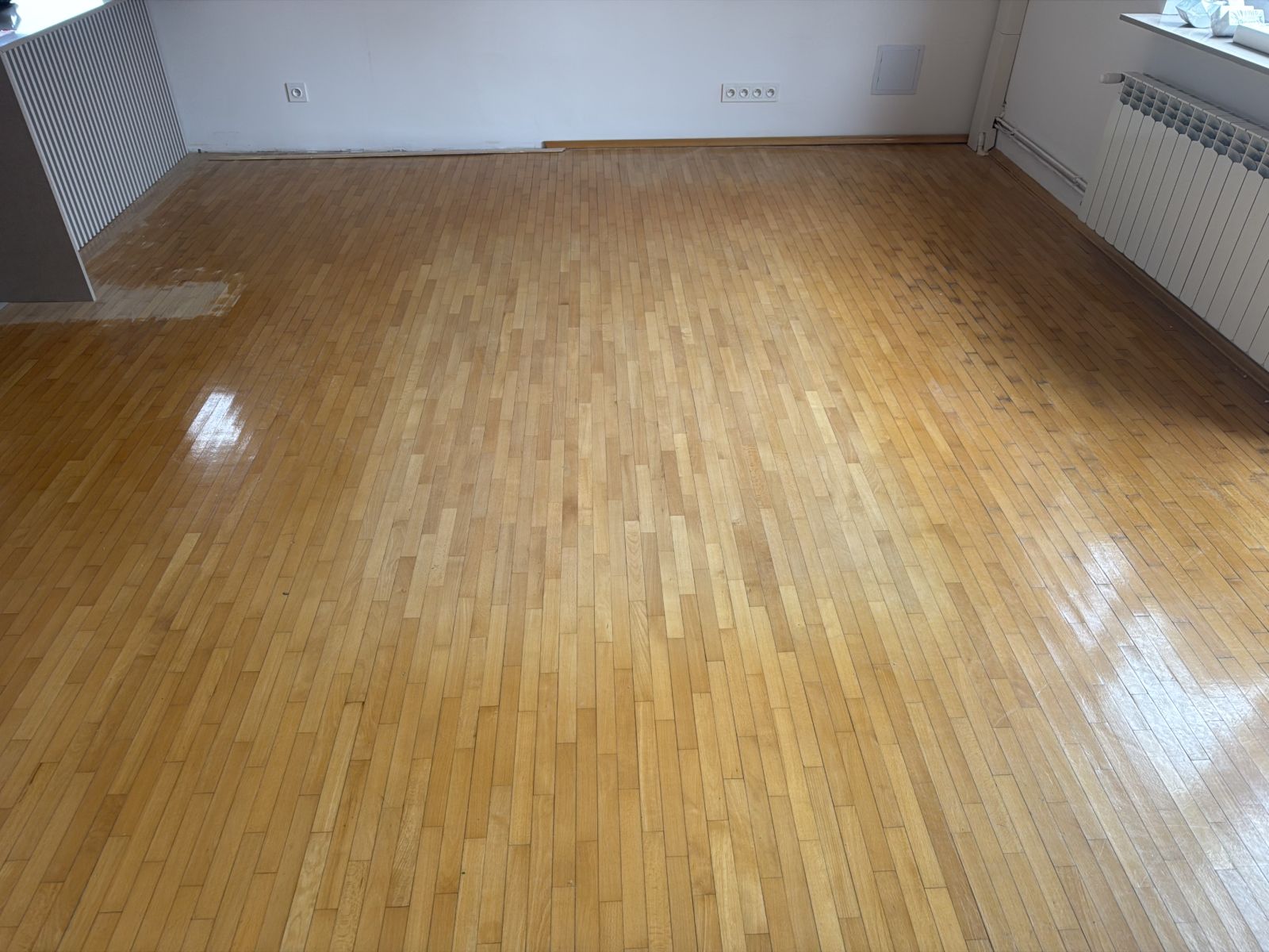 Stary Parkiet Bukowy 02