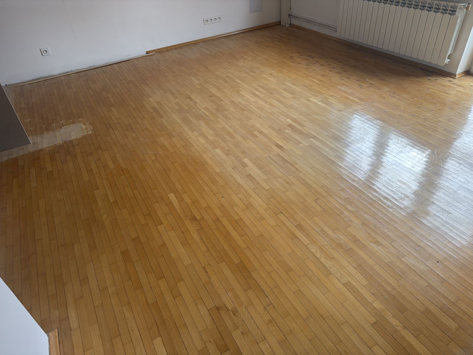 Stary Parkiet Bukowy 07