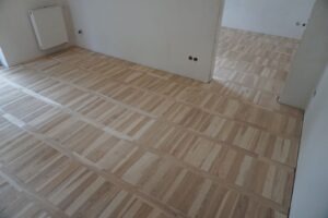 Jesion II Klasa Kolorowy Pasy Krakowskie