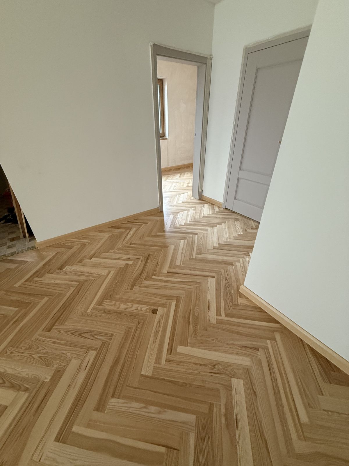 Jesion II Klasa Kolorowy