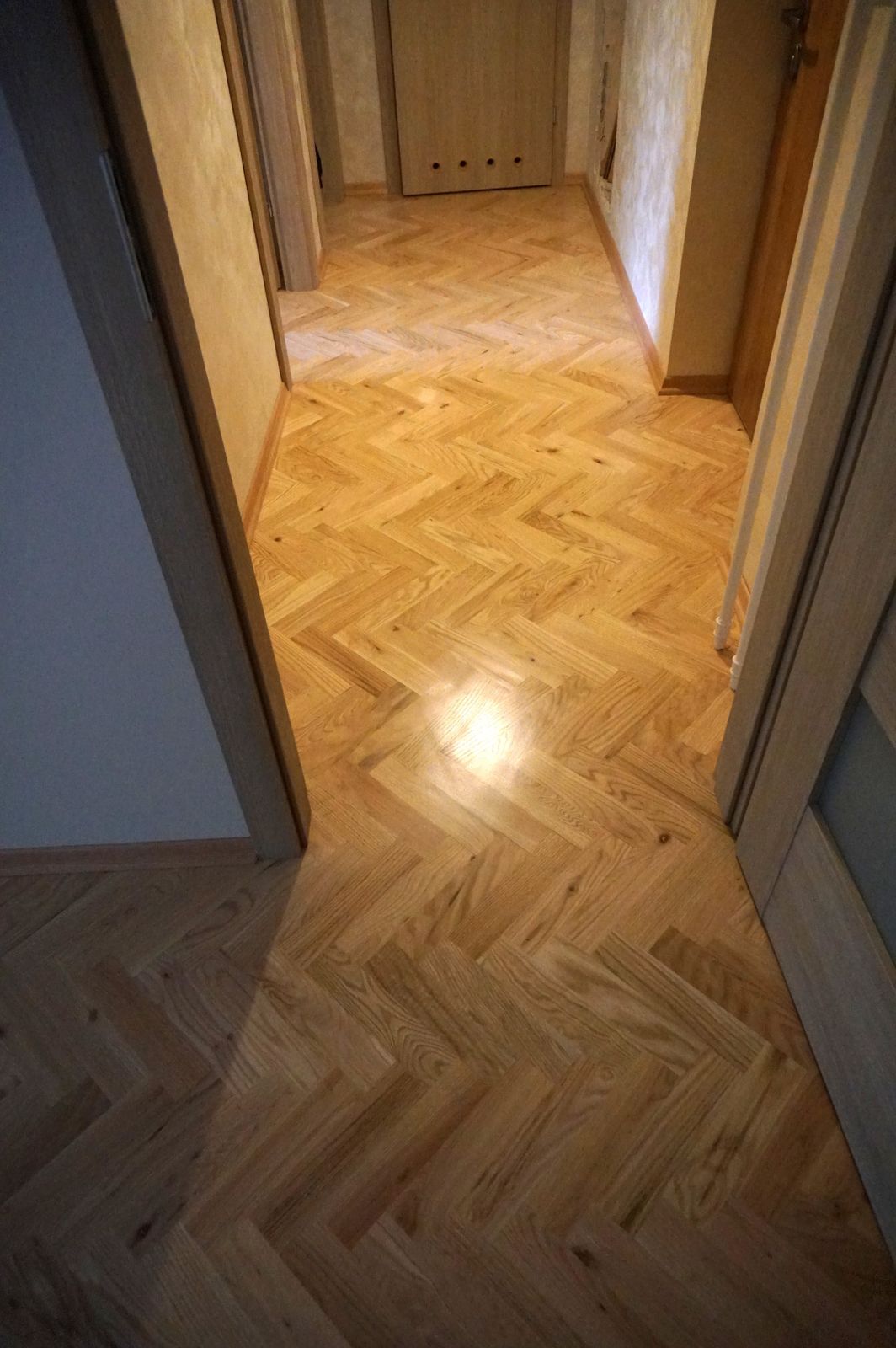 Nowy Parkiet Buk Kanadyjski 05